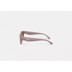 Lunettes de soleil œil-de-chat – lunettes carrées élégantes style Coach