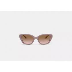 Lunettes de soleil œil-de-chat – lunettes carrées élégantes style Coach