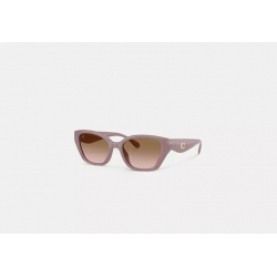 Lunettes de soleil œil-de-chat – lunettes carrées élégantes style Coach