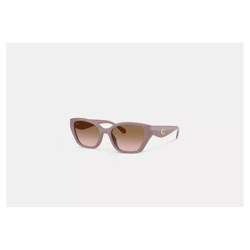 Lunettes de soleil œil-de-chat – lunettes carrées élégantes style Coach