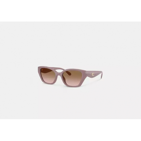 Lunettes de soleil œil-de-chat – lunettes carrées élégantes style Coach