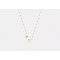 Collier pendentif rose – bijou élégant style Coach