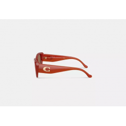Lunettes de soleil oversize – style Coach avec détail C