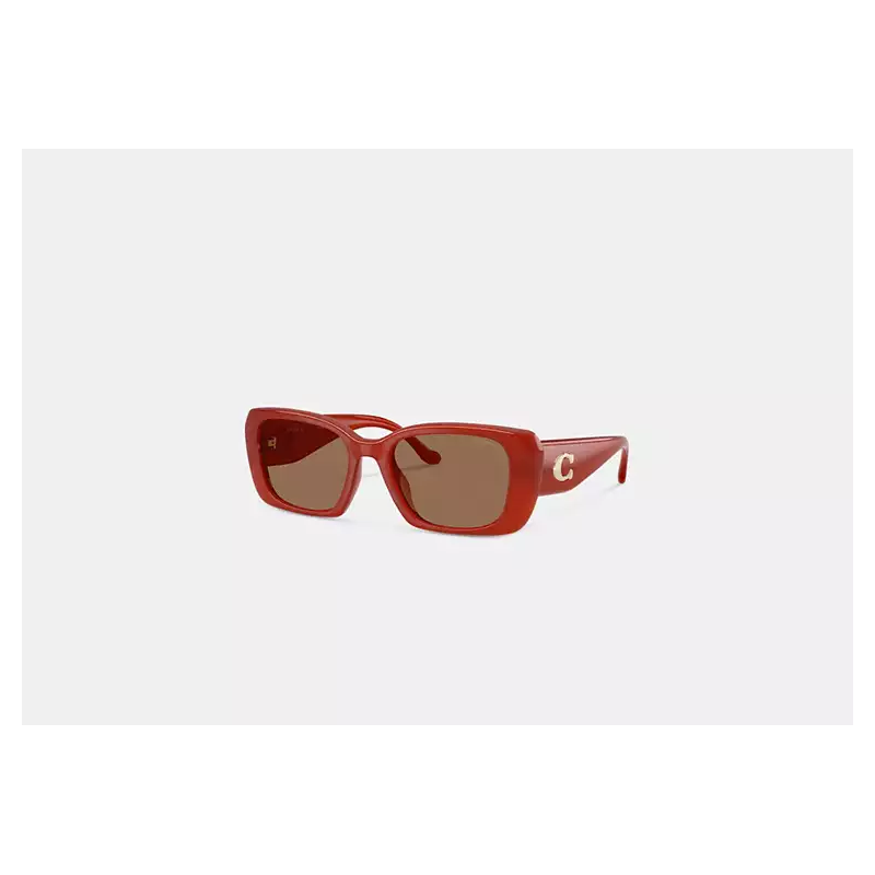 Lunettes de soleil oversize – style Coach avec détail C