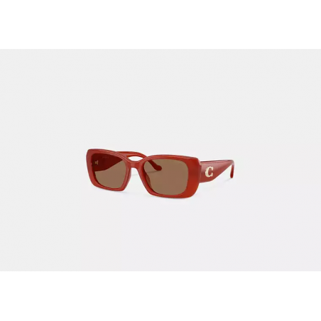 Lunettes de soleil oversize – style Coach avec détail C