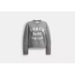Pull motif cheval Coach – pull élégant