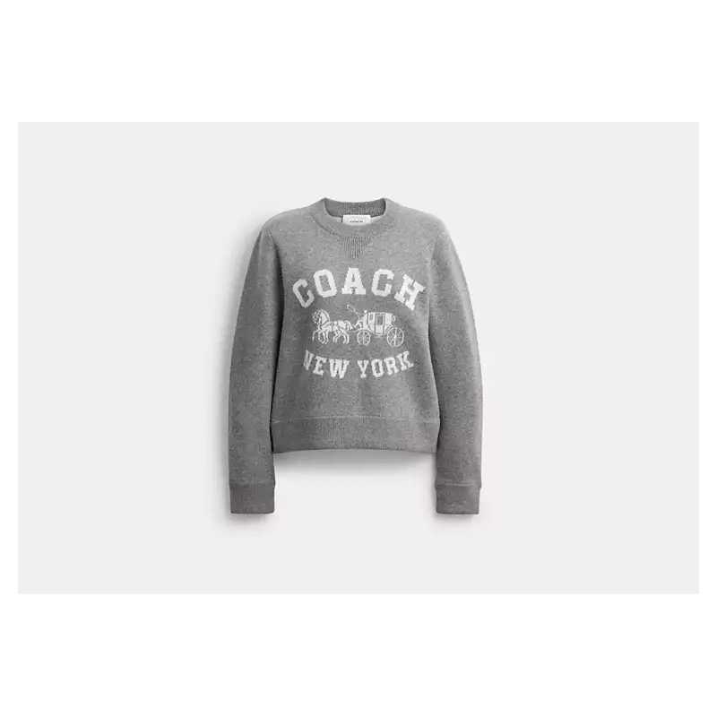 Pull motif cheval Coach – pull élégant