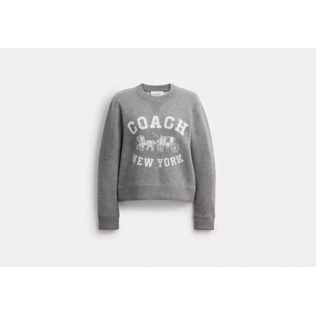 Pull motif cheval Coach – pull élégant